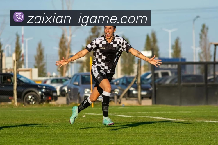 爱游戏发展历程