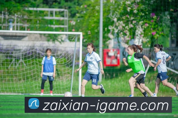 重庆乒乓球队区域防守策略分析与成效评估探讨